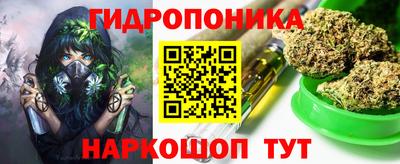 амф Бердск