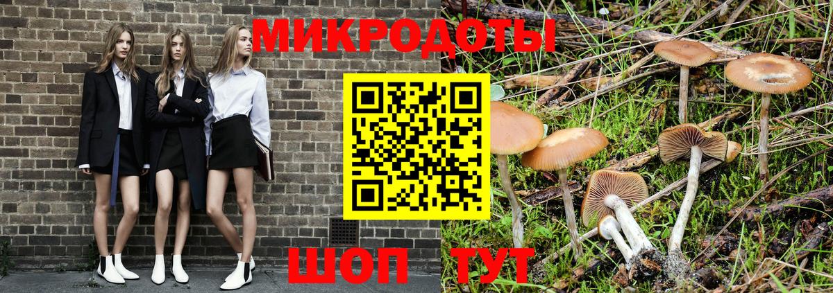 Псилоцибиновые грибы мухоморы  Вход с VPN  Полысаево 